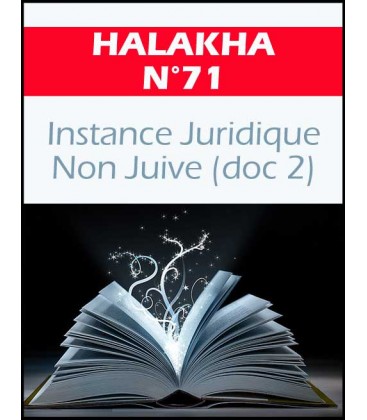 Halakha 71 Instance juridique non juive 2