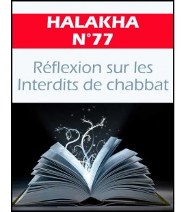 Halakha 77 reflexion sur les interdits du chabbat