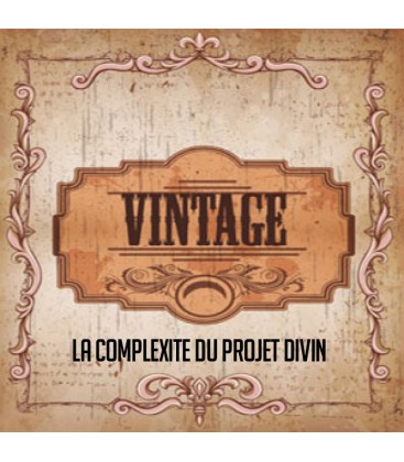 LA COMPLEXITE DU PROJET DIVIN VINTAGE