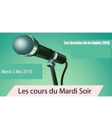 Mardi 3 Mai (les facettes de la fautes 2016)