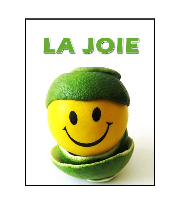 La Joie (mp4) - ravbenchetrit.com
