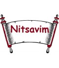 Nitsavim