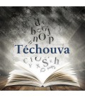 Techouva