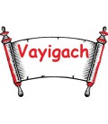 Vayigach